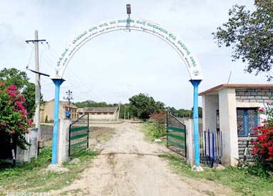 Research Farm, Bellary Centre