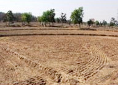 Contour Bunds, Datia