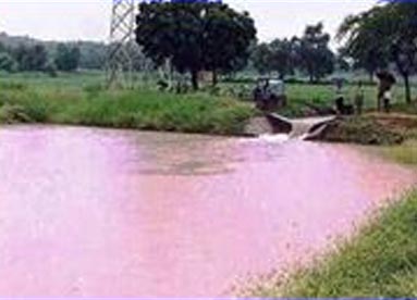 Rainwater Harvesting, Datia